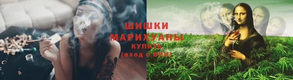 гидропоника Киренск