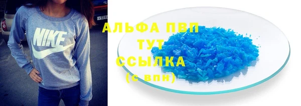 прущие грибы Костерёво