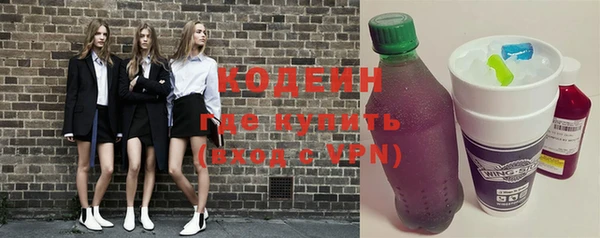 прущие грибы Костерёво